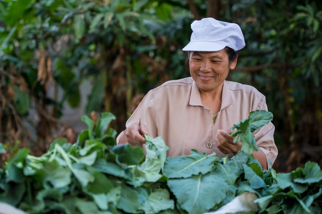 A woman tending to organic vegetables in Thailand.