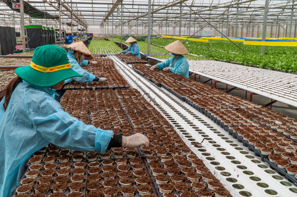 Workers at a horticulture farm.