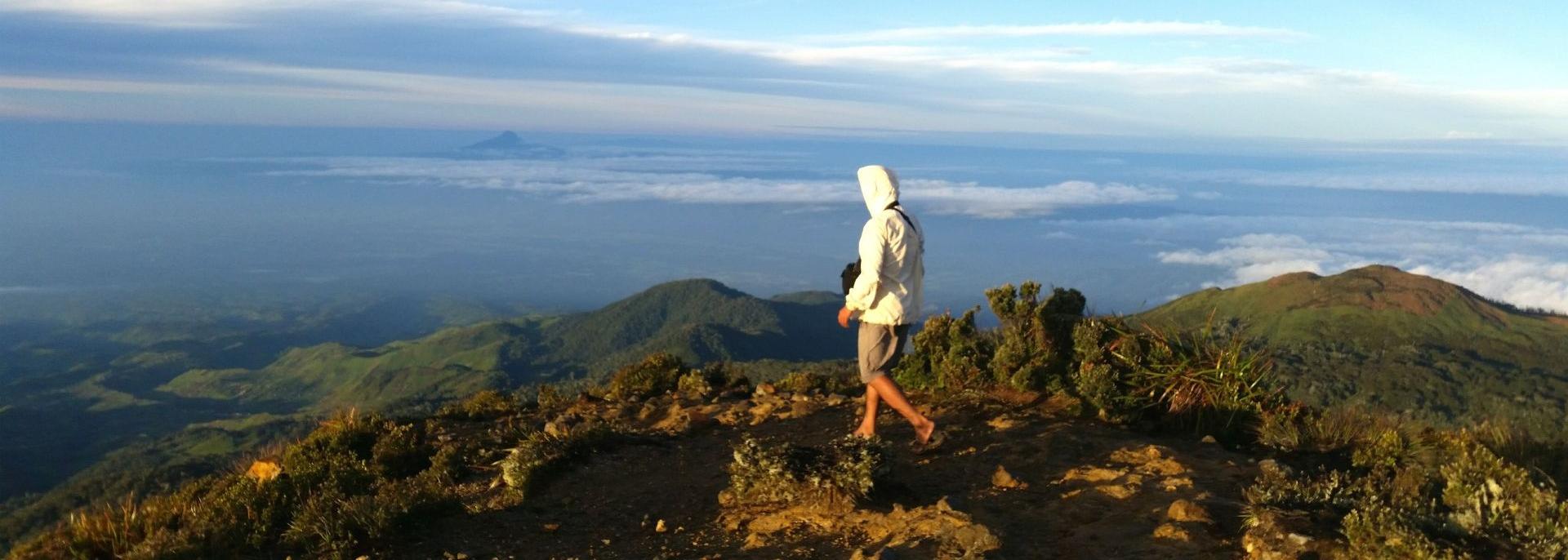 Mount Apo National Park. Photo credit: EyeEm Mobile GmbH/iStock.