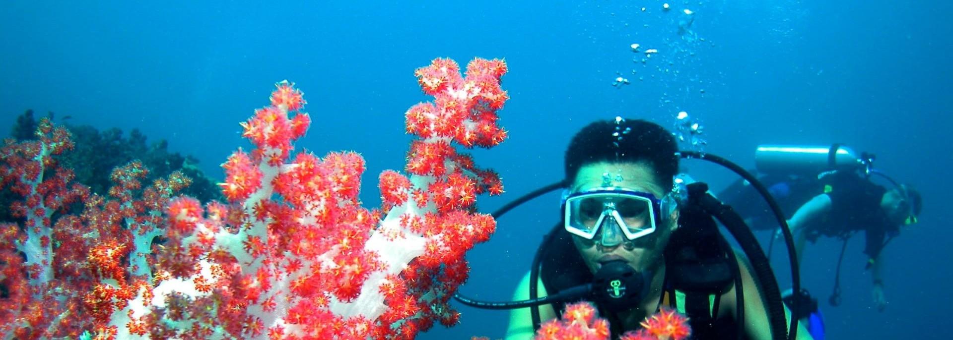 Sarawak divers. Photo credit: Sarawak Tourism Board.
