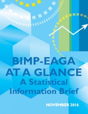 BIMP EAGA AT A GLANCE: A Statistical Information Brief Cover